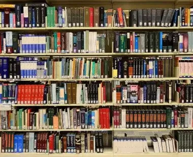 Dino-dzień w Pruszkowie. Jak biblioteka zamieniła się w prehistoryczną dżunglę